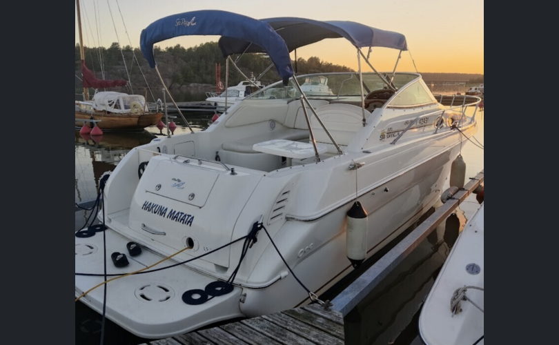 Sea Ray 270 Sundancer DA-kuva-2